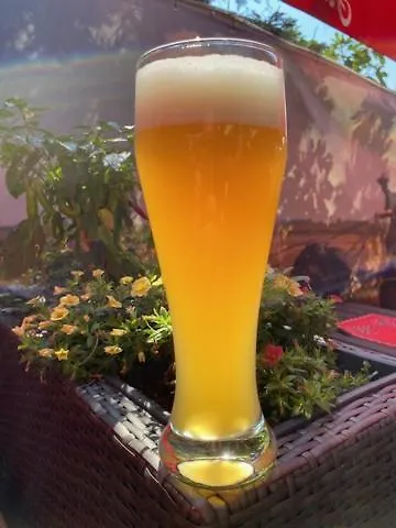 Zum Ziehbrunnen Hotel