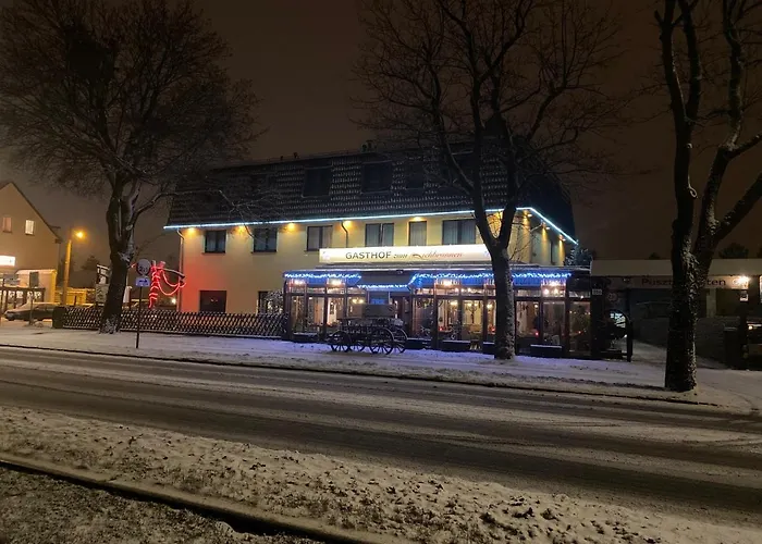 Hotell Zum Ziehbrunnen 3*