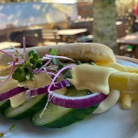 酒店 兹布鲁内恩酒店 3*