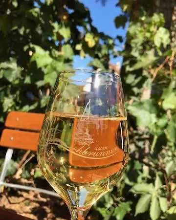 兹布鲁内恩酒店 柏林