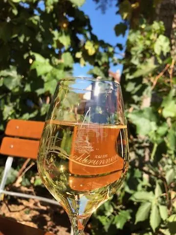 Zum Ziehbrunnen برلين